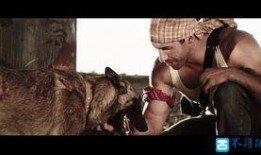 外国佬在线观看,全球视角下的文化碰撞与交流